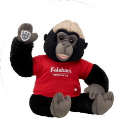 Sample - Kalahari Resorts & Conventions